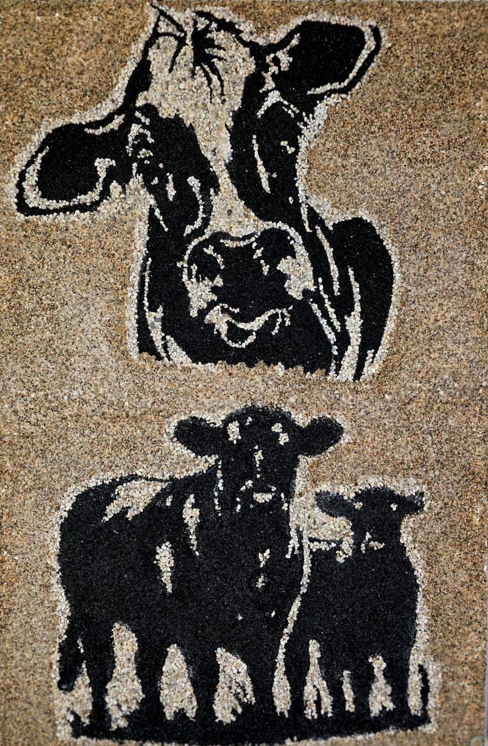 120×80cm