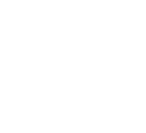 Solidair Friesland