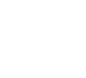 Solidair Friesland